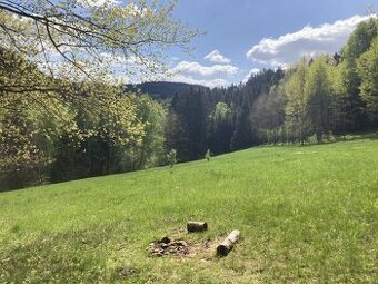 Prodej pozemku - louka, les - 1