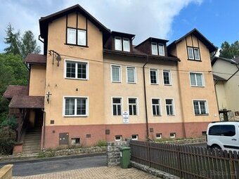 Hledáte nemovitost před rekonstrukcí