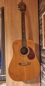 Cort Earth 70 NS
