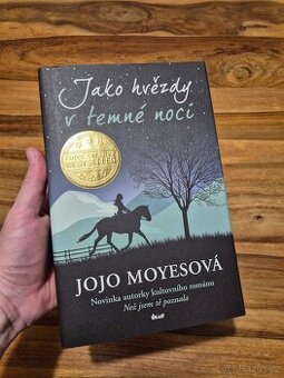 Jako hvězdy v temné noci - Jojo Moyes