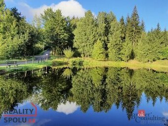 Prodej, pozemky/rybník, 5094 m2, Na Moravě 505, Desná II, 46