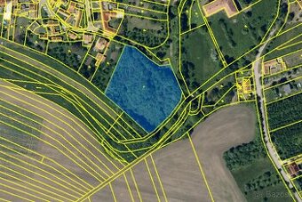 Pronájem pozemku v obci Jestřabice 6917 m2 - 1