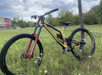 Kellys Noid 90 2021