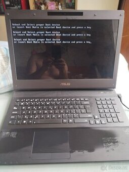Asus velký