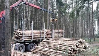 Palivové dřevo - klaďák