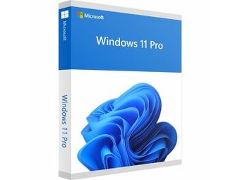 Windows 10/11 Professional / Home