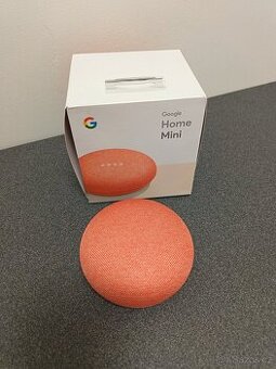 Google Home Mini Coral