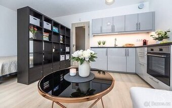 Pronájem bytu 1+kk • 76 m²