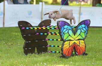 Nabízím předváděcí akci králičího hopu