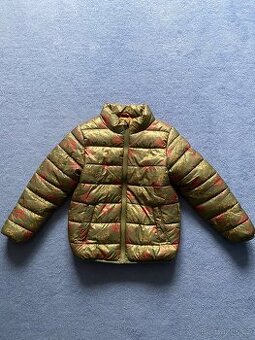 Prošívaná bunda s dinosaury Lupilu 116