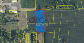 Prodej 0,3 ha zastavitelných pozemků v k.ú. Mirotice - 1