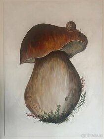 Obraz akrylem na plátně houba, 150x80 cm - 1