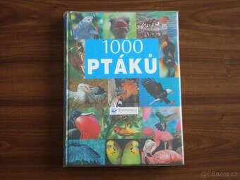 Kniha : 1000 ptáků