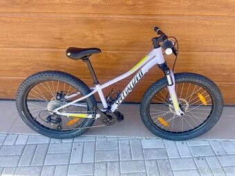 SPECIALIZED