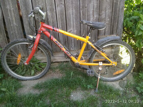 Red Fox 20"