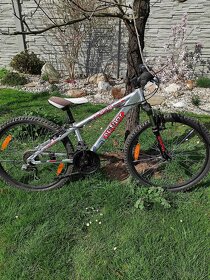 Dětské horské kolo Autor - 1