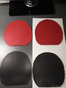 Butterfly Tenergy 05 / 05 Fx