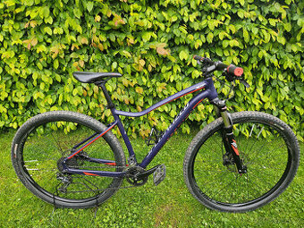 Dámské 29" horské hliníkové kolo Specialized, rám 19"(L)
