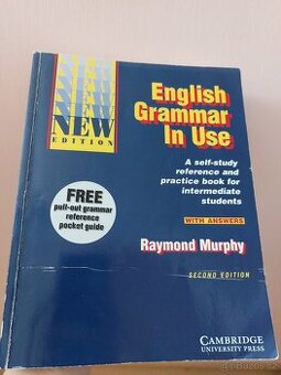 English Grammar In Use