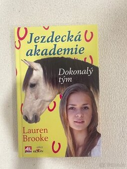 KNIHA - Dokonalý tým