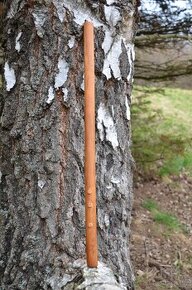 Pastierska trojdierková píšťala