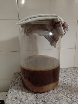 Kombucha
