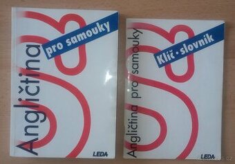 Angličtina pro samouky