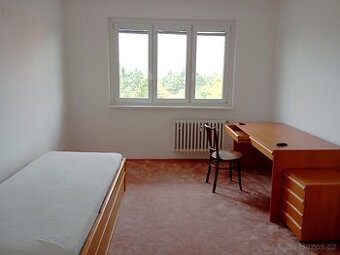 Pokoj 18m2 Černá Pole náměstí SNP - 1