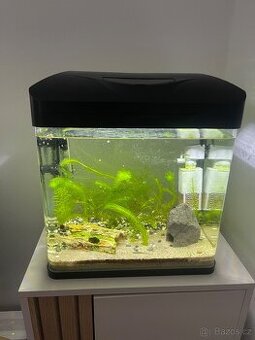 Akvárium 32L s příslušenstvím a rybami (Endlerky)