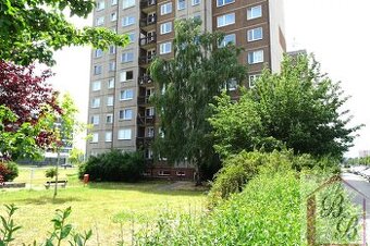 Pronájem bytu 2+kk+L, 41 m2, ul. tř. Václava Klementa, Mladá