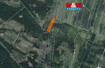 Prodej lesa, 6092 m², Nová Hradečná