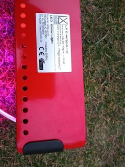 Světlo na pěstování sazenic.