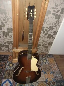 Gipsonka Cutaway- Cremona.