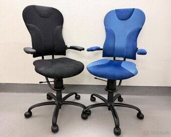 Kancelářská židle Spinalis Spider