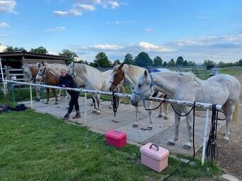 Pastevní ustájení