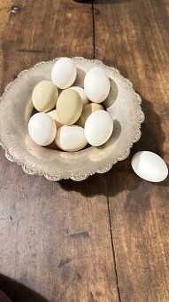 Domácí vajíčka Brno