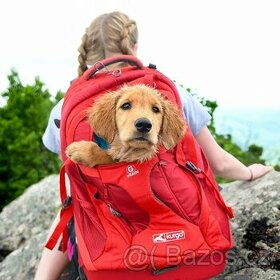 batoh pro psa nebo kočku na výlety