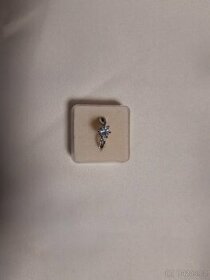 Překrásný prsten s korunkou chirurgická ocel - 1