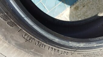 Zimní pneu 225/60/R17 Nexen