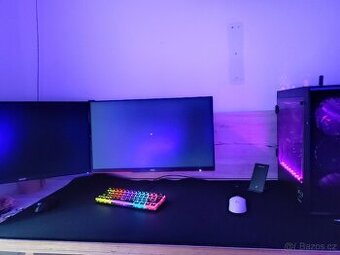 Monitory