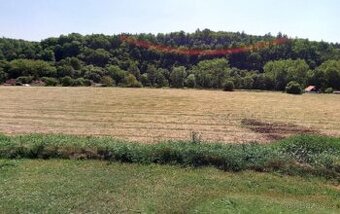Pozemek 7 029 m2, Kaliště, Praha-východ. ID 7261e 2205 - 1