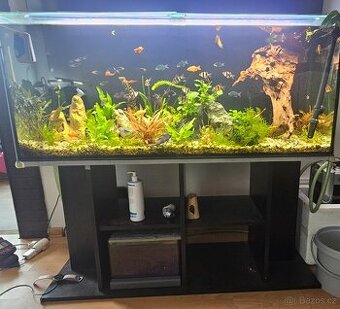 Akvarium