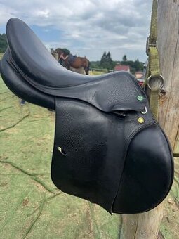 Prestige appaloosa