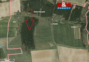 Prodej lesa, 6005 m², Dražíč