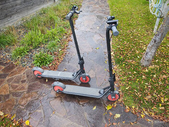 Segway Ninebot Zing C20