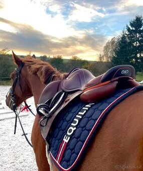 CWD TR 2GS Mademoiselle