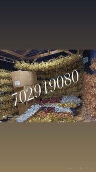 Prodáme vánoční jmelí 🌿🌿