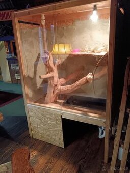 Prodám velké terárium ( bez Leguana)