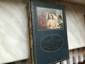 Domací lékařka - 1