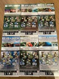 Život v divočině 6 DVD